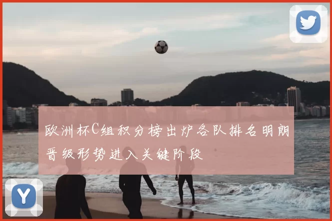 欧洲杯C组积分榜出炉各队排名明朗晋级形势进入关键阶段