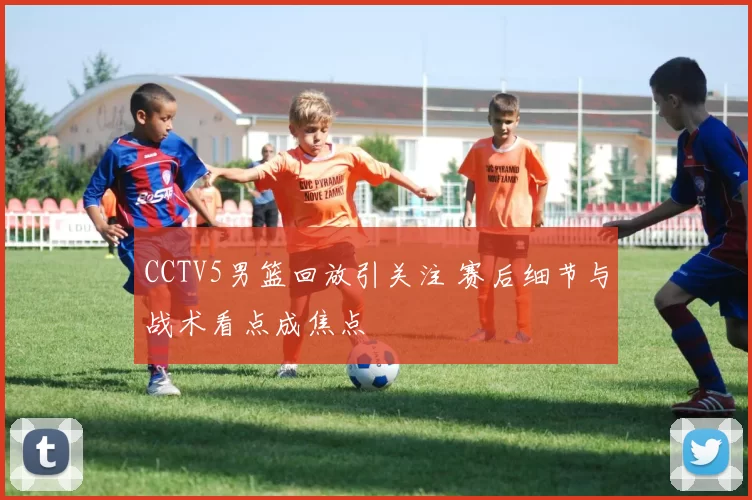 CCTV5男篮回放引关注 赛后细节与战术看点成焦点