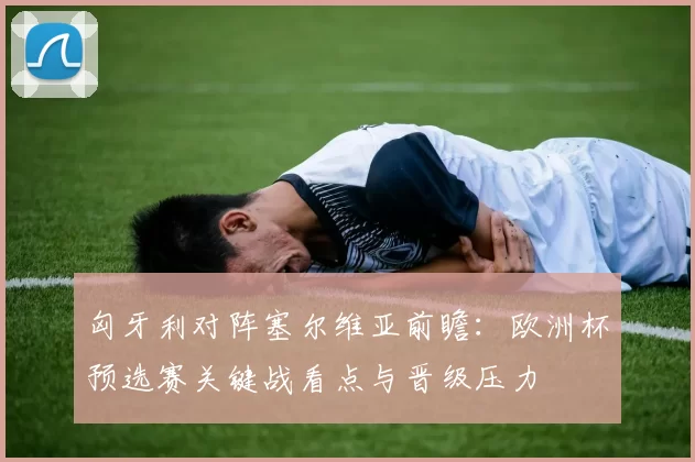 匈牙利对阵塞尔维亚前瞻：欧洲杯预选赛关键战看点与晋级压力