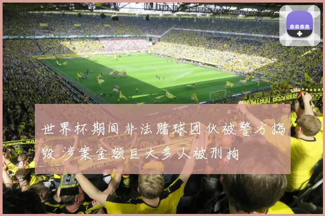世界杯期间非法赌球团伙被警方捣毁 涉案金额巨大多人被刑拘