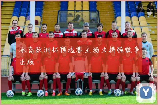 冰岛欧洲杯预选赛主场力拼强敌争出线