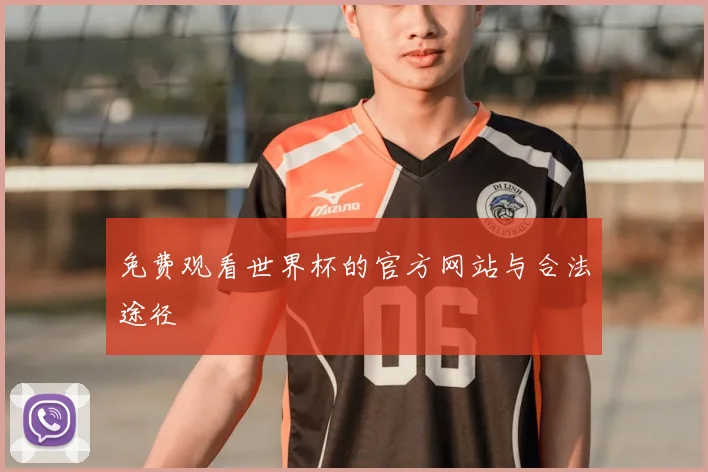 免费观看世界杯的官方网站与合法途径