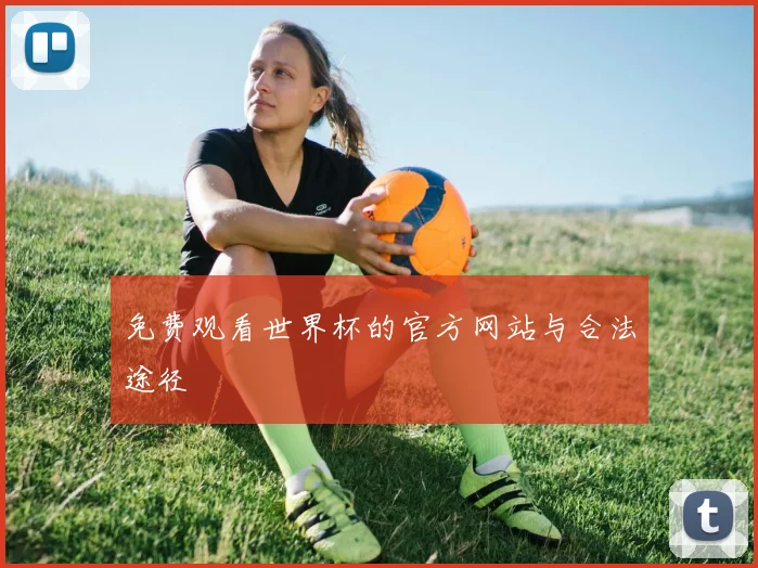 免费观看世界杯的官方网站与合法途径