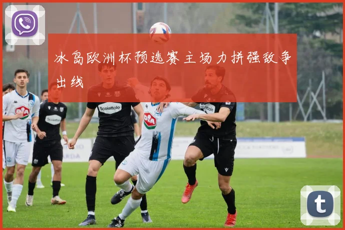 冰岛欧洲杯预选赛主场力拼强敌争出线