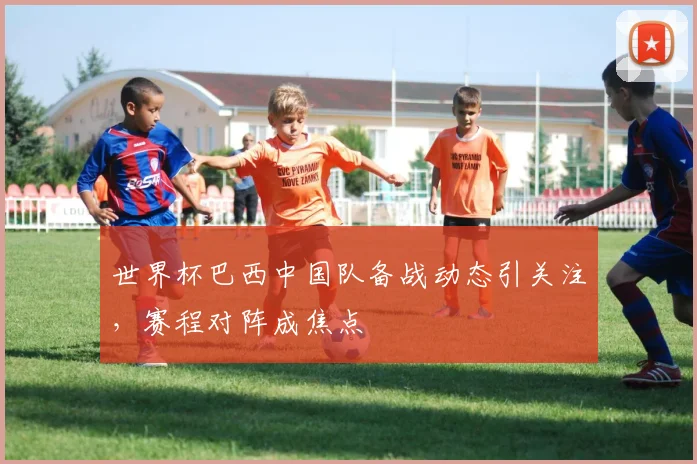 世界杯巴西中国队备战动态引关注，赛程对阵成焦点
