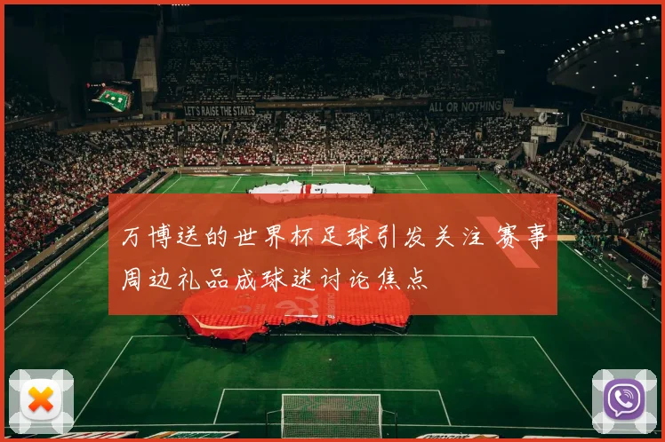 万博送的世界杯足球引发关注 赛事周边礼品成球迷讨论焦点
